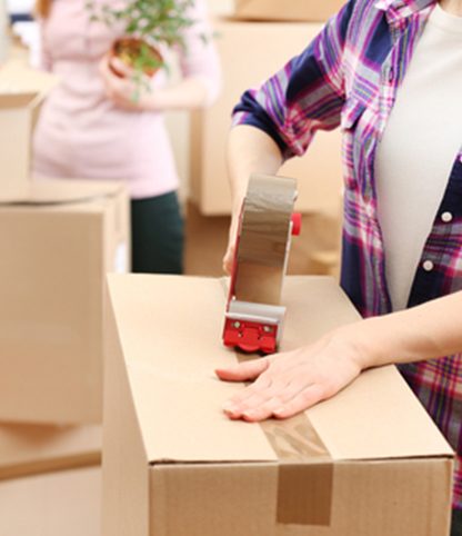 Packing boxes - Steiney Removalists in Towoomba, QLD
